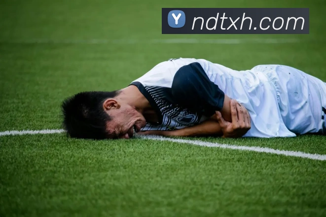 雅博app平台生态图