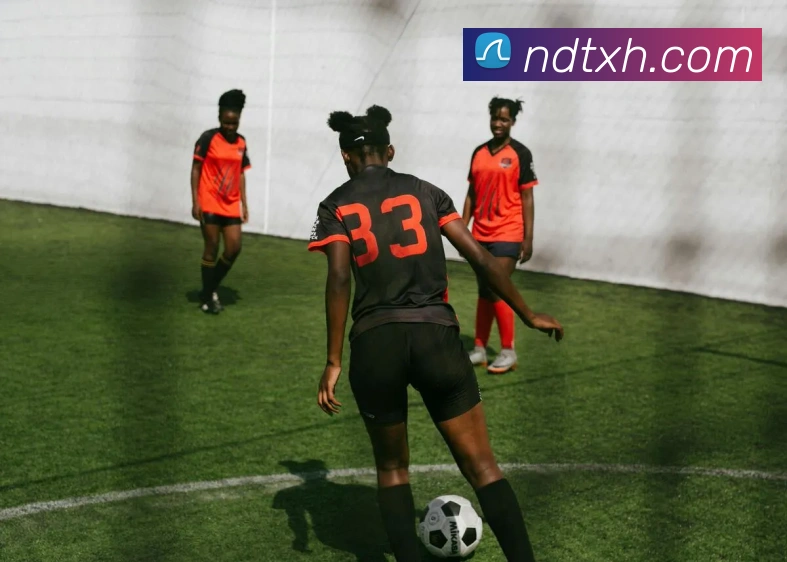 雅博appAPP 封面图